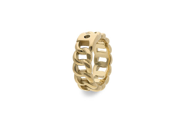 Anillo Liberi - Imagen 2