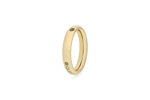 Anillo Small - Imagen 2