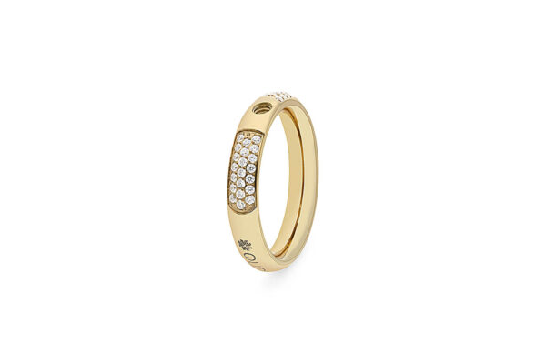 Anillo Small Deluxe - Imagen 2