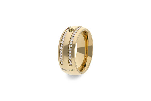 Anillo Leece - Imagen 2