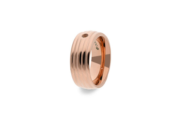Anillo Sanza - Imagen 3