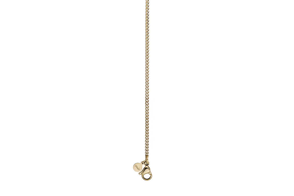 Collar Link Chain - Imagen 2