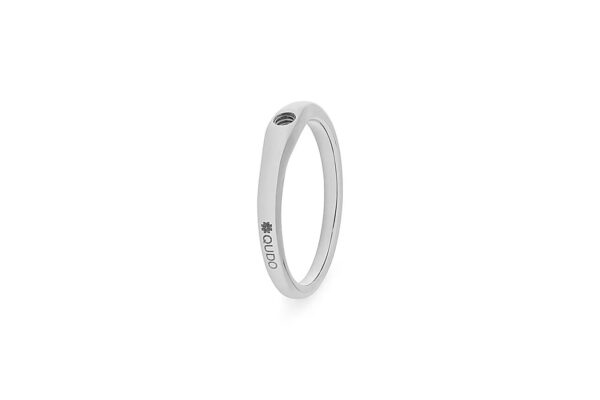 Anillo Fine